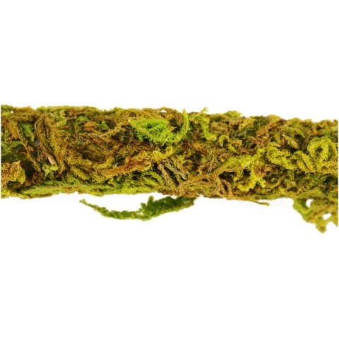 Repti-Zoo Liana z naturalnym mchem 2cm x 2m Repti-Zoo Liana z naturalnym mchem 2cm x 2m