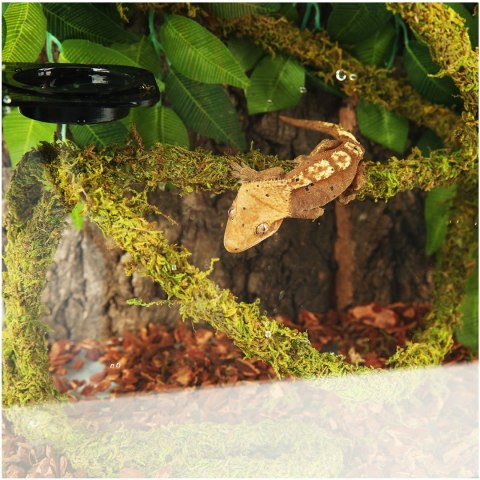 Repti-Zoo Liana z naturalnym mchem 2cm x 2m Repti-Zoo Liana z naturalnym mchem 2cm x 2m