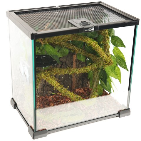 Repti-Zoo Liana z naturalnym mchem 2cm x 2m Repti-Zoo Liana z naturalnym mchem 2cm x 2m