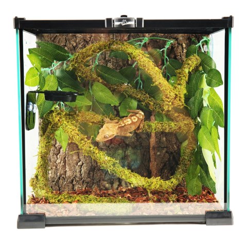 Repti-Zoo Liana z naturalnym mchem 2cm x 2m Repti-Zoo Liana z naturalnym mchem 2cm x 2m