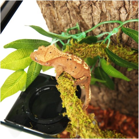 Repti-Zoo Liana z naturalnym mchem 2cm x 2m Repti-Zoo Liana z naturalnym mchem 2cm x 2m