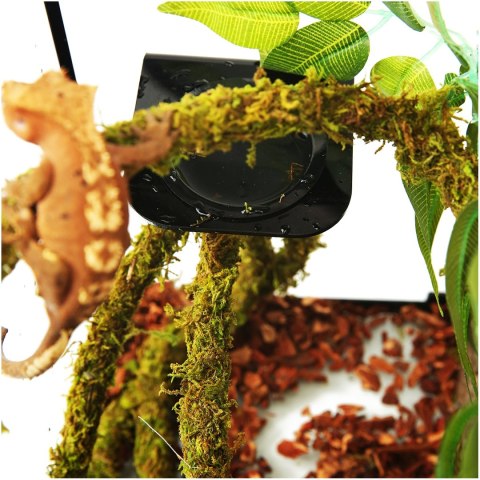 Repti-Zoo Liana z naturalnym mchem 2cm x 2m Repti-Zoo Liana z naturalnym mchem 2cm x 2m