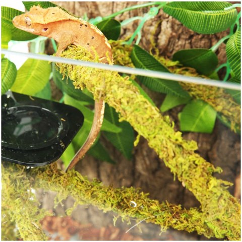 Repti-Zoo Liana z naturalnym mchem 2cm x 2m Repti-Zoo Liana z naturalnym mchem 2cm x 2m
