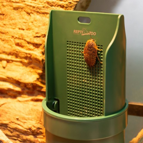 Repti-Zoo Live Feeding Dish - wiszący karmnik dla gadów z przyssawką Repti-Zoo Live Feeding Dish - wiszący karmnik dla gadów z przyssawką