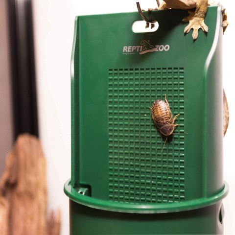 Repti-Zoo Live Feeding Dish - wiszący karmnik dla gadów z przyssawką Repti-Zoo Live Feeding Dish - wiszący karmnik dla gadów z przyssawką