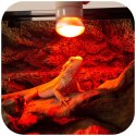 Repti-Zoo Mini Infrared Spot 25W NANO - żarówka grzewcza 2 sztuki
