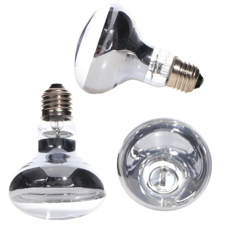 Repti-Zoo Neodymium Daylight 100W - żarówka grzewcza neodymowa Repti-Zoo Neodymium Daylight 100W - żarówka grzewcza neodymowa