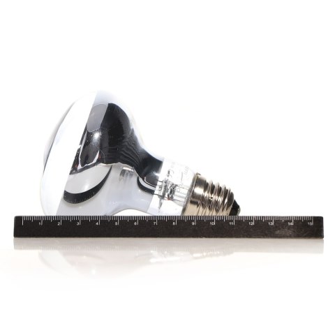 Repti-Zoo Neodymium Daylight 100W - żarówka grzewcza neodymowa Repti-Zoo Neodymium Daylight 100W - żarówka grzewcza neodymowa