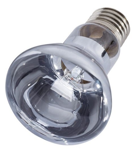 Repti-Zoo Neodymium Daylight 35W - żarówka grzewcza neodymowa Repti-Zoo Neodymium Daylight 35W - żarówka grzewcza neodymowa
