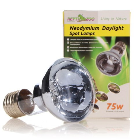 Repti-Zoo Neodymium Daylight 75W - żarówka grzewcza neodymowa Repti-Zoo Neodymium Daylight 75W - żarówka grzewcza neodymowa