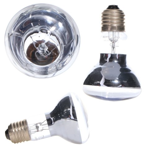 Repti-Zoo Neodymium Daylight 75W - żarówka grzewcza neodymowa Repti-Zoo Neodymium Daylight 75W - żarówka grzewcza neodymowa