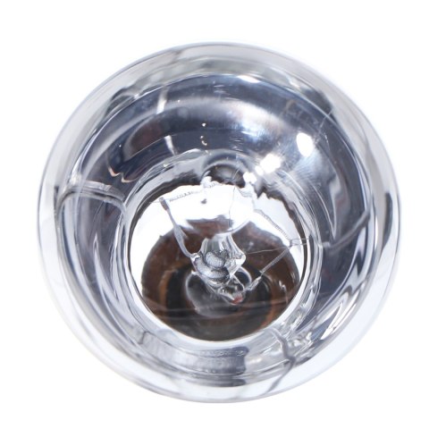 Repti-Zoo Neodymium Daylight 75W - żarówka grzewcza neodymowa Repti-Zoo Neodymium Daylight 75W - żarówka grzewcza neodymowa
