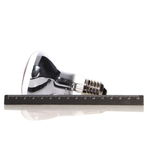 Repti-Zoo Neodymium Daylight 75W - żarówka grzewcza neodymowa Repti-Zoo Neodymium Daylight 75W - żarówka grzewcza neodymowa
