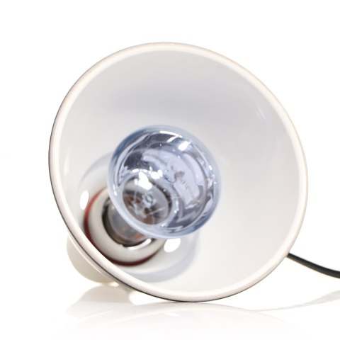 Repti-Zoo Neodymium Daylight 75W - żarówka grzewcza neodymowa Repti-Zoo Neodymium Daylight 75W - żarówka grzewcza neodymowa