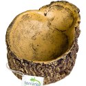 Terrario Bark Bowl - Miska do Terrarium 10x7,5x4 cm