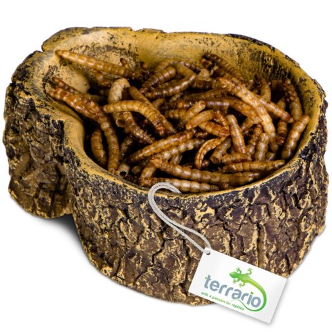 Terrario Bark Bowl - Miska do Terrarium 10x7,5x4 cm Terrario Bark Bowl - Miska do Terrarium 10x7,5x4 cm
