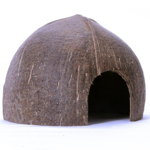 Terrario CocoCave L - połówka kokos gładki Terrario CocoCave L - połówka kokos gładki