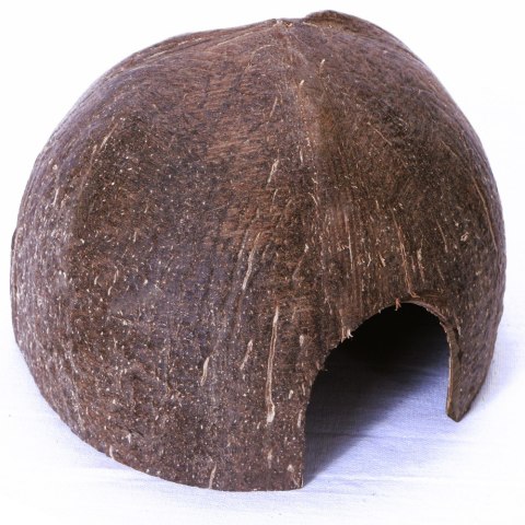 Terrario CocoCave L - połówka kokos gładki Terrario CocoCave L - połówka kokos gładki