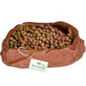 Terrario Natural Bowl M - Miska do Terrarium 11,5x9x3 cm