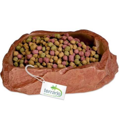 Terrario Natural Bowl M - Miska do Terrarium 11,5x9x3 cm Terrario Natural Bowl M - Miska do Terrarium 11,5x9x3 cm
