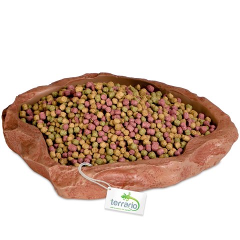 Terrario Natural Bowl - Miska do Terrarium 20x17x3 cm Terrario Natural Bowl - Miska do Terrarium 20x17x3 cm