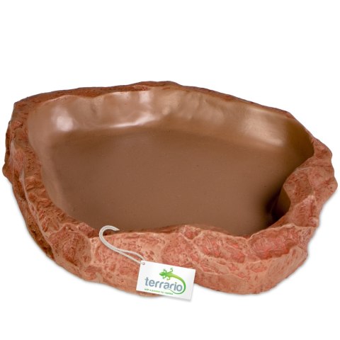 Terrario Natural Bowl - Miska do Terrarium 20x17x3 cm Terrario Natural Bowl - Miska do Terrarium 20x17x3 cm