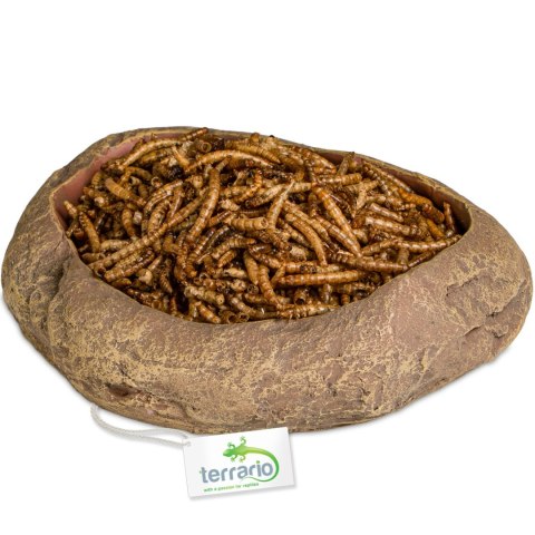 Terrario Rock Oasis L - Miska do Terrarium 17x15x4,5 cm Terrario Rock Oasis L - Miska do Terrarium 17x15x4,5 cm