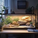 Terrario Rock Oasis L - Miska do Terrarium 17x15x4,5 cm