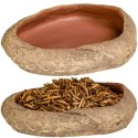 Terrario Rock Oasis L - Miska do Terrarium 17x15x4,5 cm