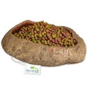 Terrario Rock Oasis L - Miska do Terrarium 17x15x4,5 cm