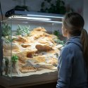 Terrario Rock Oasis M - Miska do Terrarium 14,5x11,5x3,5 cm