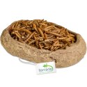 Terrario Rock Oasis M - Miska do Terrarium 14,5x11,5x3,5 cm