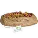 Terrario Rock Oasis S - Miska do Terrarium 10x6,5x2,5 cm