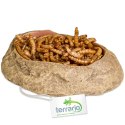 Terrario Rock Oasis S - Miska do Terrarium 10x6,5x2,5 cm