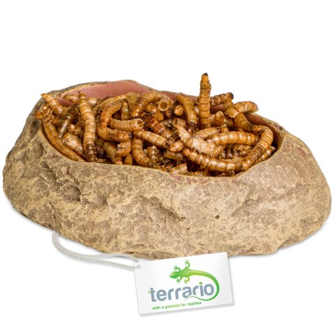 Terrario Rock Oasis S - Miska do Terrarium 10x6,5x2,5 cm Terrario Rock Oasis S - Miska do Terrarium 10x6,5x2,5 cm