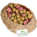 Terrario Rock Oasis XS - Miska do Terrarium 5,5x4x1 cm