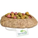 Terrario Rock Oasis XS - Miska do Terrarium 5,5x4x1 cm