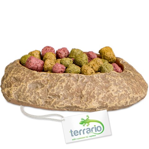 Terrario Rock Oasis XS - Miska do Terrarium 5,5x4x1 cm Terrario Rock Oasis XS - Miska do Terrarium 5,5x4x1 cm