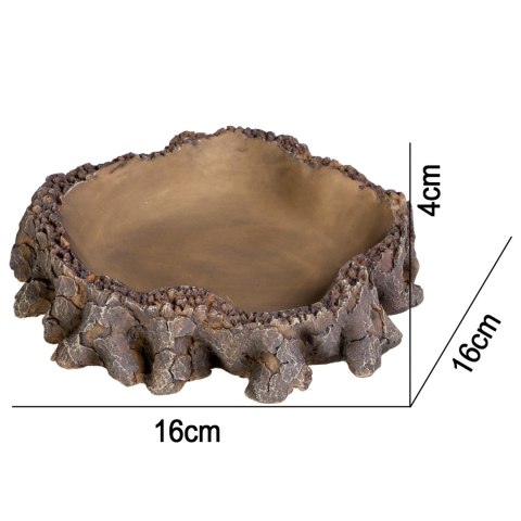 Terrario Root Bowl - Miska do Terrarium 16x16x4 cm Terrario Root Bowl - Miska do Terrarium 16x16x4 cm