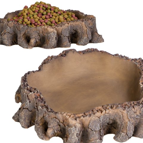 Terrario Root Bowl - Miska do Terrarium 16x16x4 cm Terrario Root Bowl - Miska do Terrarium 16x16x4 cm