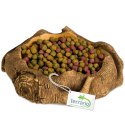 Terrario Rustic Wood Bowl - Miska do Terrarium 12x12x3,5 cm