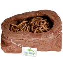 Terrario SplitRock Smart Bowl - miska do karmienia żywym pokarmem 11x9x4 cm