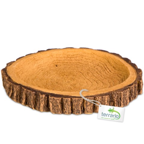 Terrario Tree Ring Bowl M - Miska do Terrarium 12x11x1,5 cm Terrario Tree Ring Bowl M - Miska do Terrarium 12x11x1,5 cm