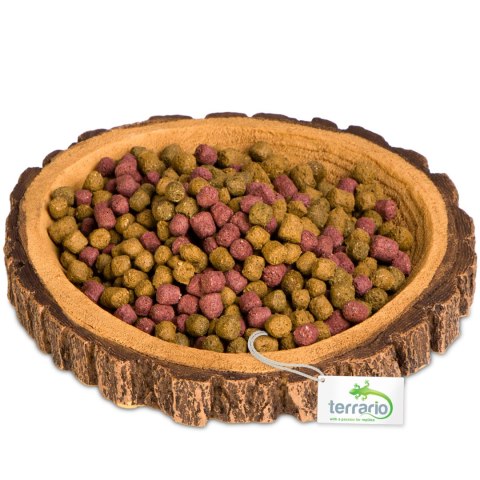 Terrario Tree Ring Bowl M - Miska do Terrarium 12x11x1,5 cm Terrario Tree Ring Bowl M - Miska do Terrarium 12x11x1,5 cm