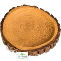 Terrario Tree Ring Bowl M - Miska do Terrarium 12x11x1,5 cm