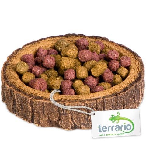 Terrario Tree Ring Bowl XS - Miska do Terrarium 6x5x1 cm Terrario Tree Ring Bowl XS - Miska do Terrarium 6x5x1 cm