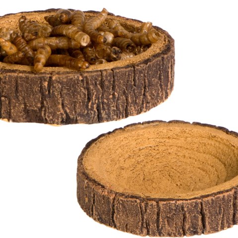 Terrario Tree Ring Bowl XS - Miska do Terrarium 6x5x1 cm Terrario Tree Ring Bowl XS - Miska do Terrarium 6x5x1 cm
