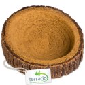 Terrario Tree Ring Bowl XS - Miska do Terrarium 6x5x1 cm