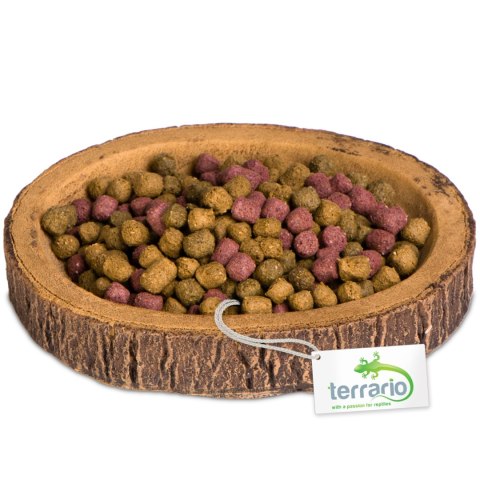 Terrario Tree Ring Bowl S - Miska do Terrarium 9,5x7,5x1 cm Terrario Tree Ring Bowl S - Miska do Terrarium 9,5x7,5x1 cm