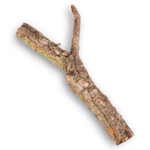Drzewko z Dębu korkowego 40cm Drzewko z Dębu korkowego 40cm